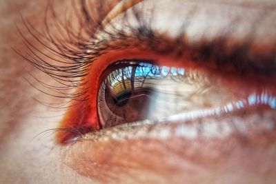 Extreme close-up of human eye