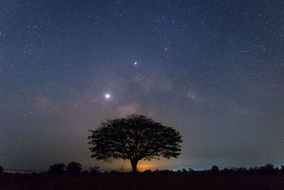 Silhouette trees on field against sky at night