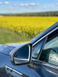 Reflection of sky on side-view mirror