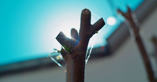 Close-up of rusty metal fence against blue sky