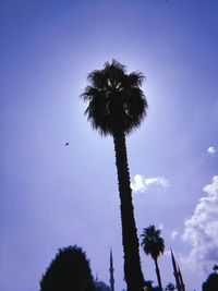 Low angle view of silhouette palm trees against blue sky