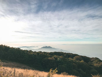 Scenic view of landscape against sky