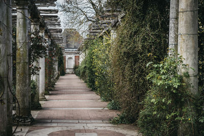 The hill garden and pergola in golders green, london, uk.