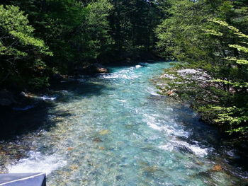 River flowing through forest