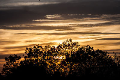 Silhouette of tree against cloudy sky