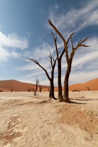 Scenic view of landscape against cloudy sky