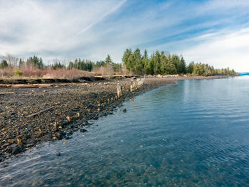 Scenic view of river against sky