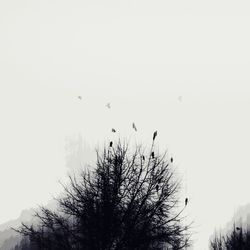 Low angle view of bare trees against clear sky