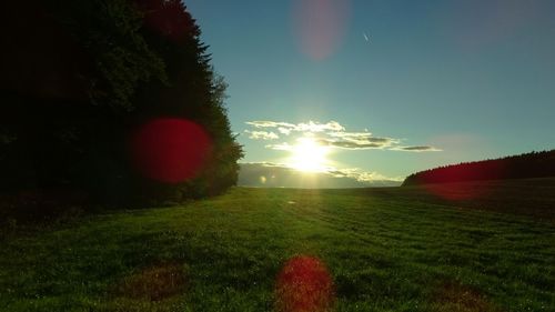 Scenic view of field against sky during sunset
