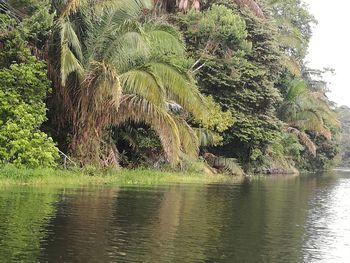 Scenic view of river against sky