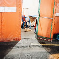 Close-up of building