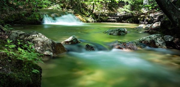 Scenic view of waterfall