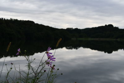 Scenic view of lake against cloudy sky