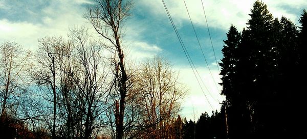 Low angle view of bare trees against cloudy sky