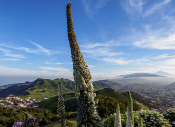 Panoramic view of green landscape against sky