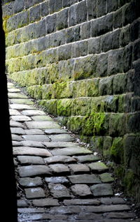 Walkway by stone wall
