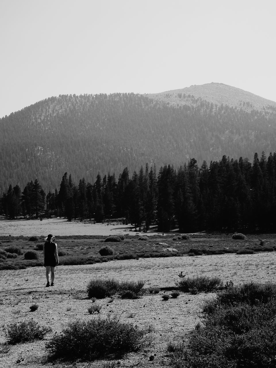 MAN STANDING ON FIELD AGAINST TREES AND MOUNTAINS AGAINST SKY