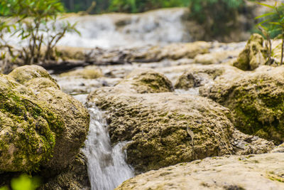 Stream flowing through rocks