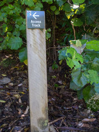 Close-up of text on plant