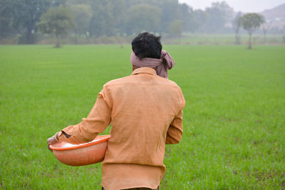 Indian farmer spreading fertilizer in the wheat field