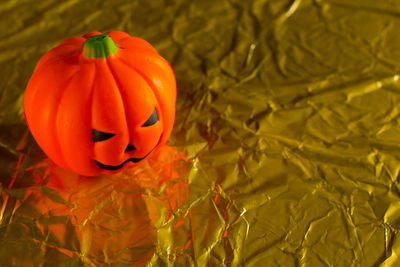 High angle view of pumpkin pumpkins during autumn