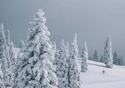 Snow covered landscape against foggy sky on velika planina