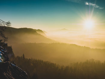 Sunrise in the misty mountains. pine tree bonsai. fog in the forest.