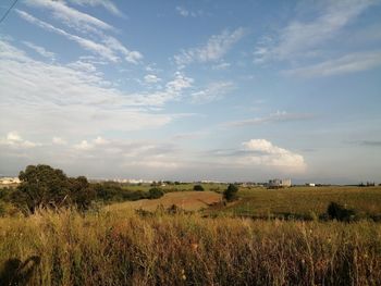 Scenic view of field against sky