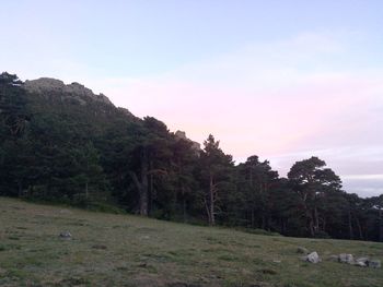 Scenic view of landscape and mountains against sky