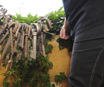 Midsection of man holding leaves while standing by plants