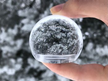 Close-up of person holding crystal ball