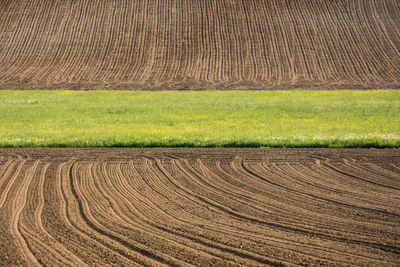 Full frame shot of farm