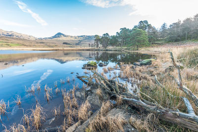 Scenic view of lake against sky