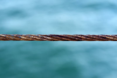 Close-up of metallic rod