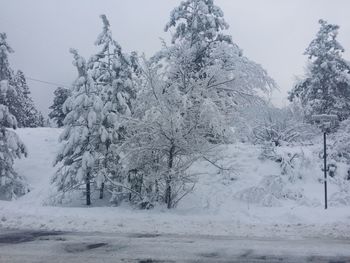 Scenic view of snow covered field