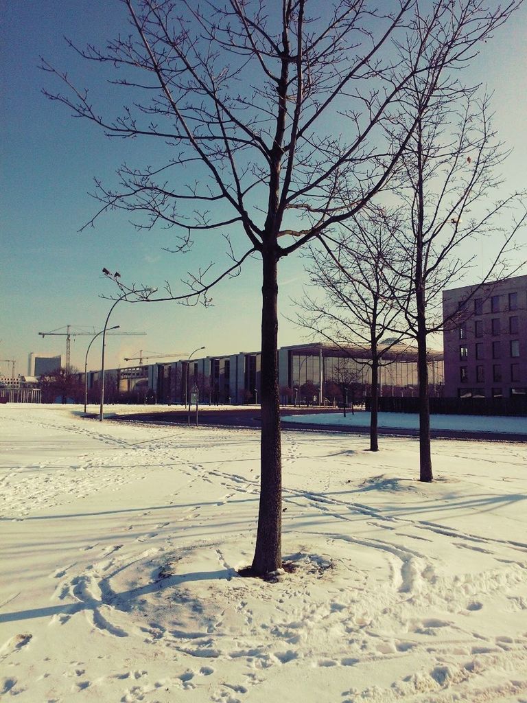 bare tree, snow, winter, tree, building exterior, cold temperature, built structure, architecture, season, clear sky, sky, field, landscape, covering, city, branch, weather, street, nature, day