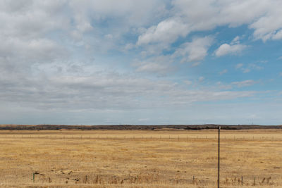 Grass field against sky