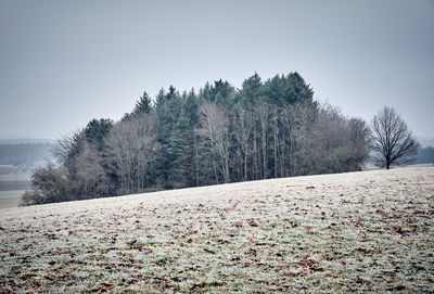 Trees on field against clear sky during winter