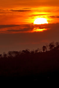 Silhouette trees against sky during sunset