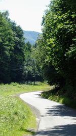 Road amidst trees against sky