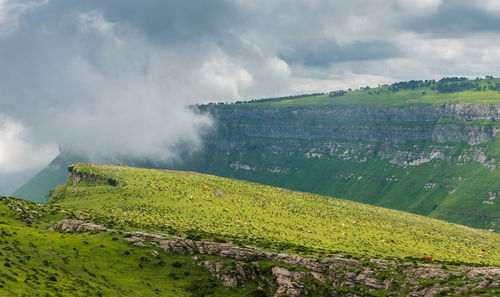 Scenic view of landscape against sky