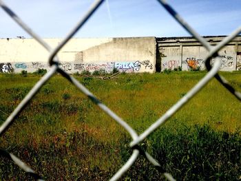 Fence on grassy field