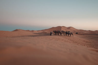 Scenic view of sand dunes in desert against sky