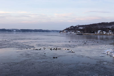 Scenic view of sea against sky during winter