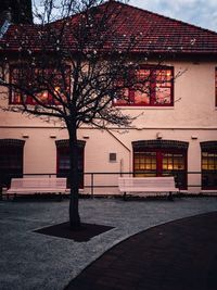 Tree by building against sky