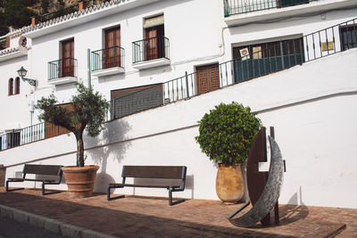 Potted plant on table by building