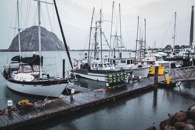 Sailboats moored at harbor against sky