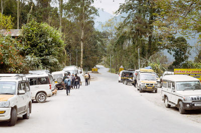 Vehicles on road along trees in city