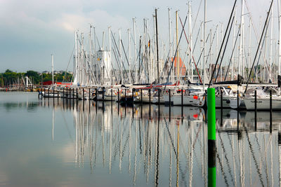 Sailboats moored in harbor against sky