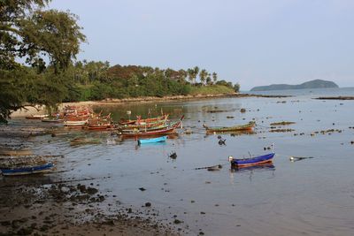 Boats moored on shore against clear sky